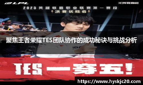 聚焦王者荣耀TES团队协作的成功秘诀与挑战分析