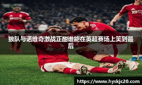 狼队与诺维奇激战正酣谁能在英超赛场上笑到最后